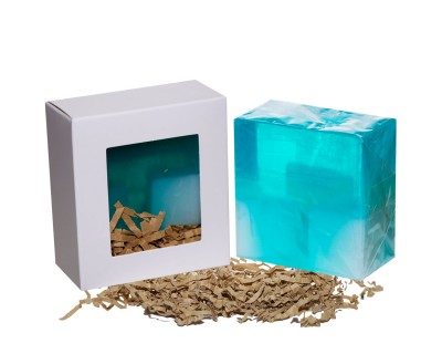 Fresh Aloe Vera Fresh Aloe Vera